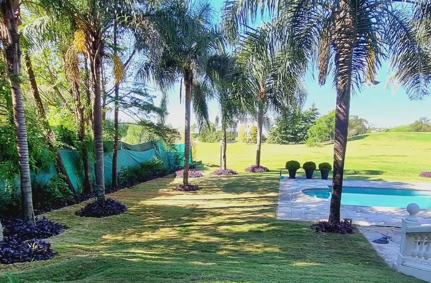 Jardín con césped instalado, palmeras y pileta