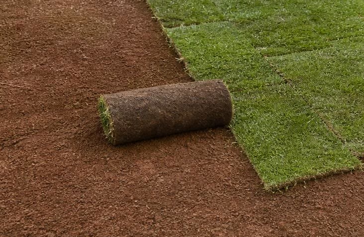 Rollos de césped sobre terreno preparado